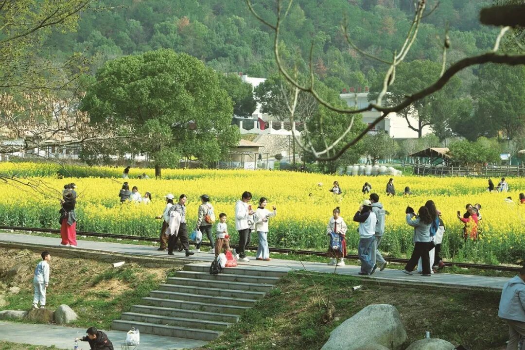 游客在青原山赏花游玩。蔡含璐 摄