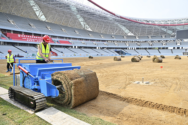 体育场正在进行草坪铺设