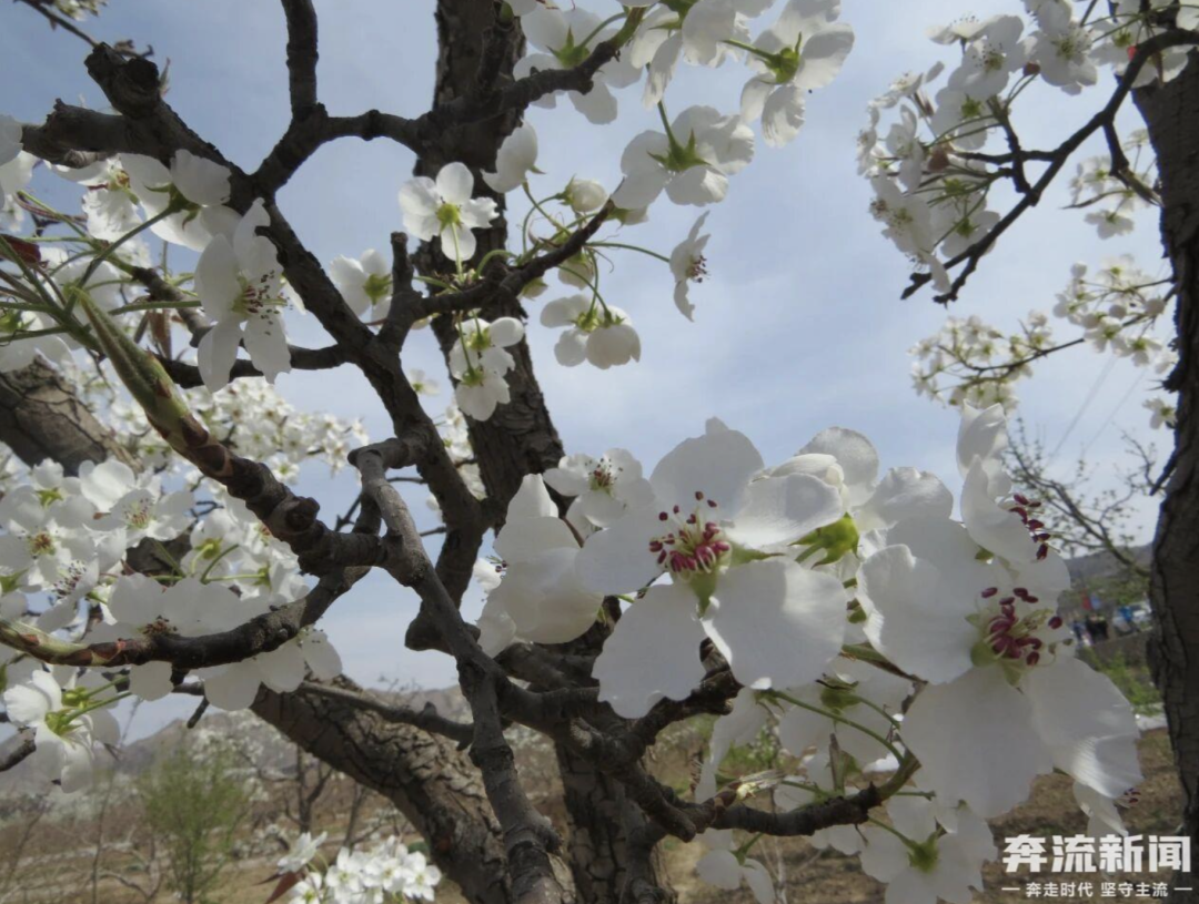 图源：奔流新闻