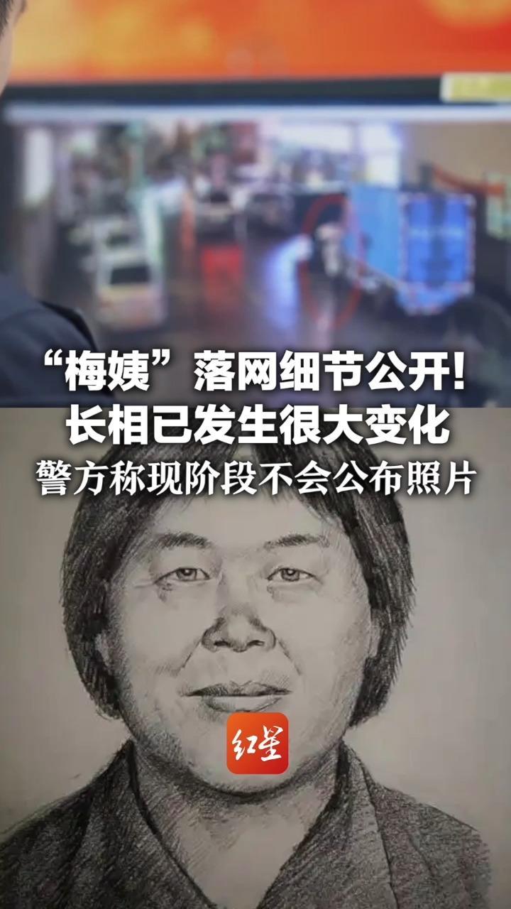“梅姨”落网细节公开！专案组去年锁定女子谢某某 长相已发生很大变化 警方称现阶段不会公布照片