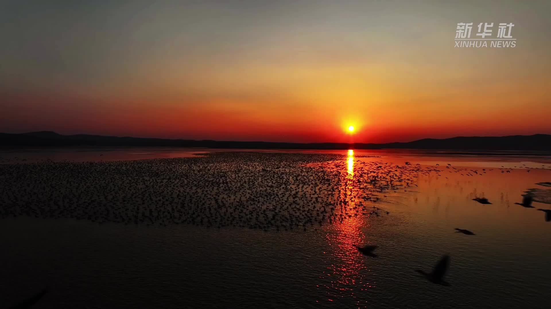 秀我中国｜赴一场珲春站的候鸟之约
