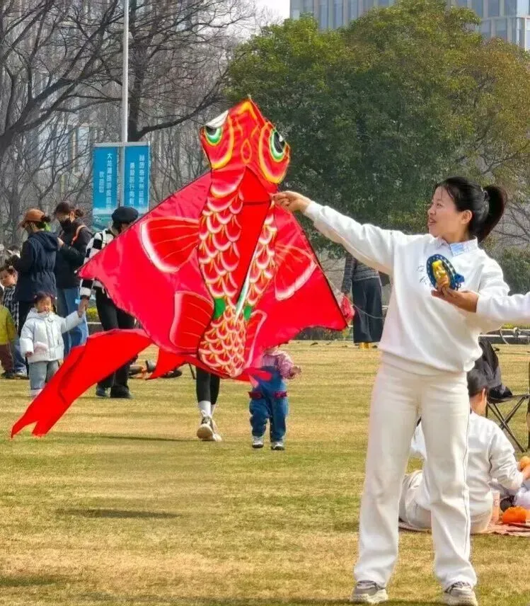 2026江苏省风筝挑战赛明日在大龙湖畔启幕
