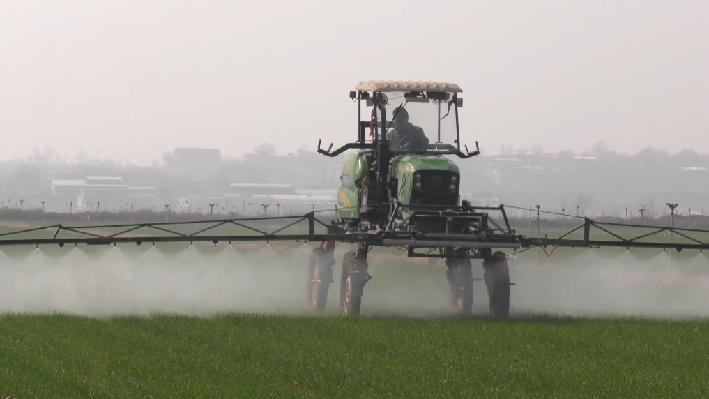 陜西渭南：農技人員麥田“問診” 助力夏糧豐產豐收