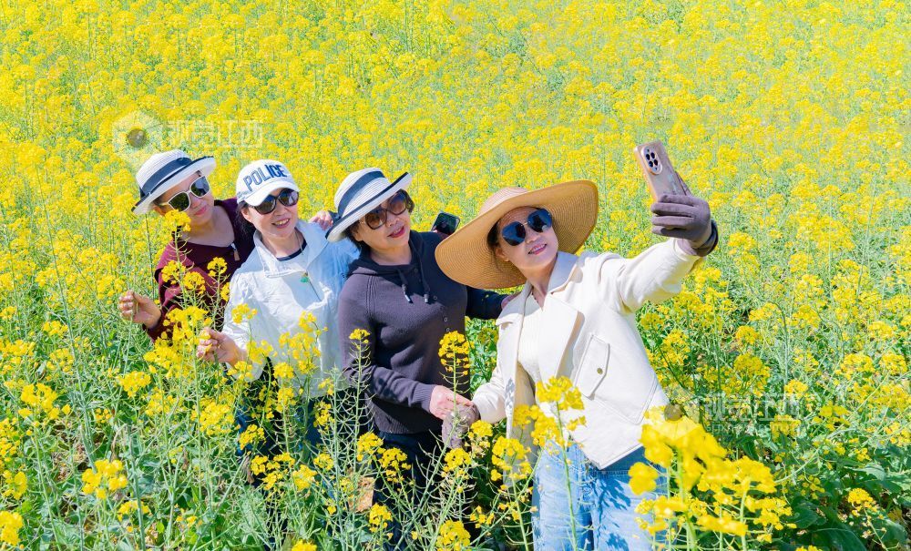 江西金溪：城乡处处花开春意浓（图）