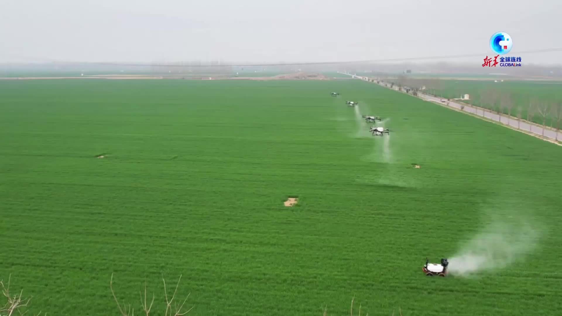 全球连线｜河南清丰：科技赋能 中原春耕更“智慧”