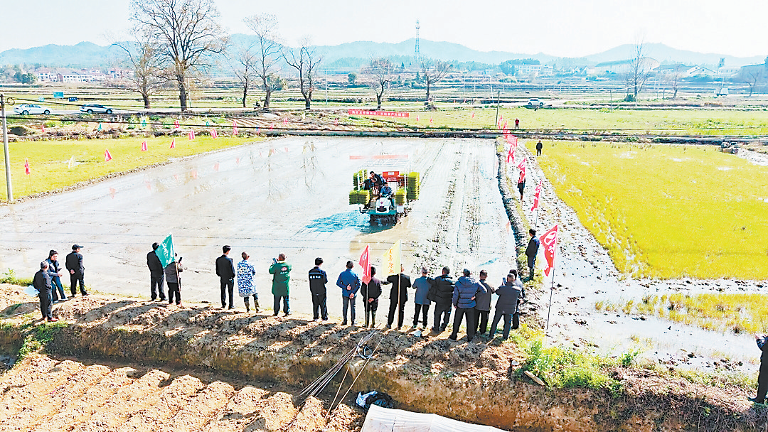 农资先行、农机助力、科技赋能，抚州各地奏响春耕“进行曲”