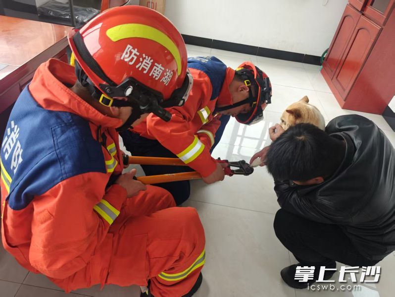 消防员正在施救。 长沙晚报通讯员 黄志玲 摄