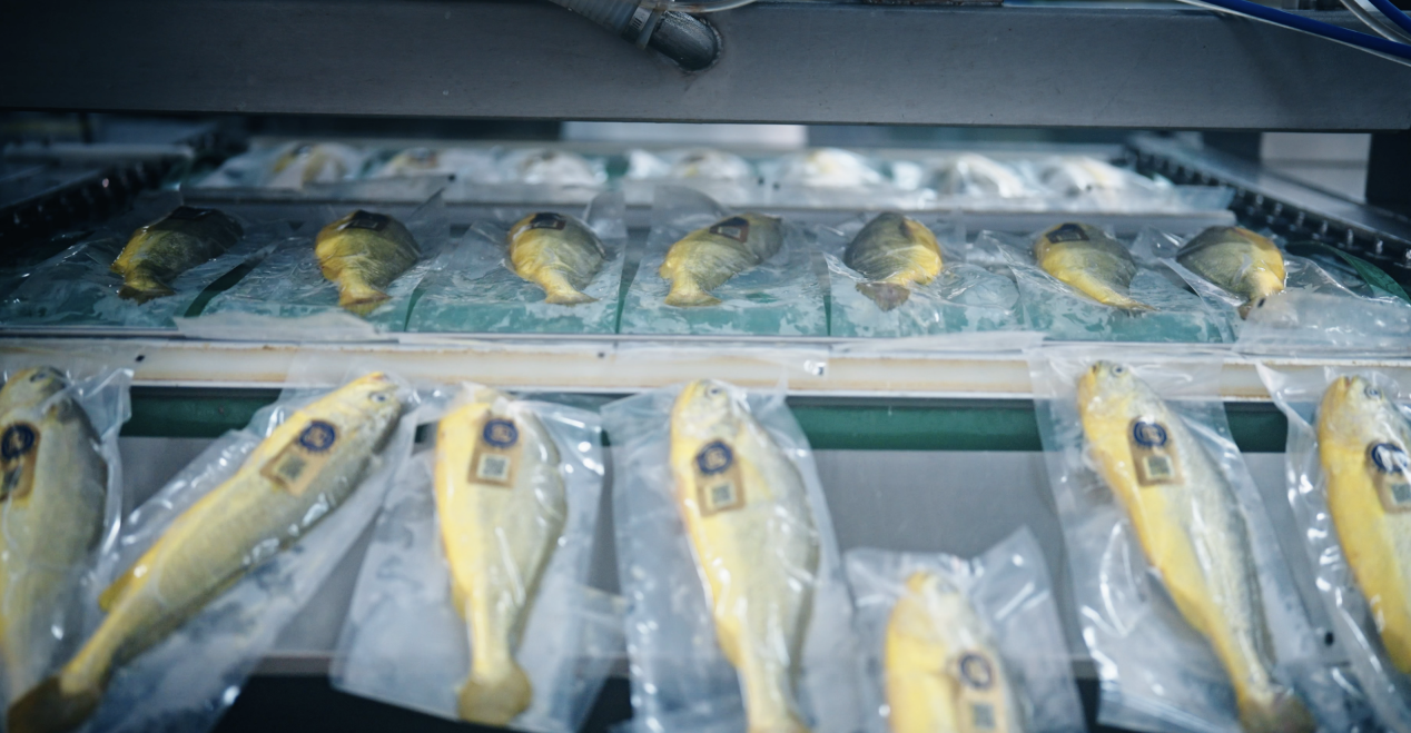 战略锚定“十五五” 向海图强耕深蓝 国信水产陆海联动践行品牌农业新模式