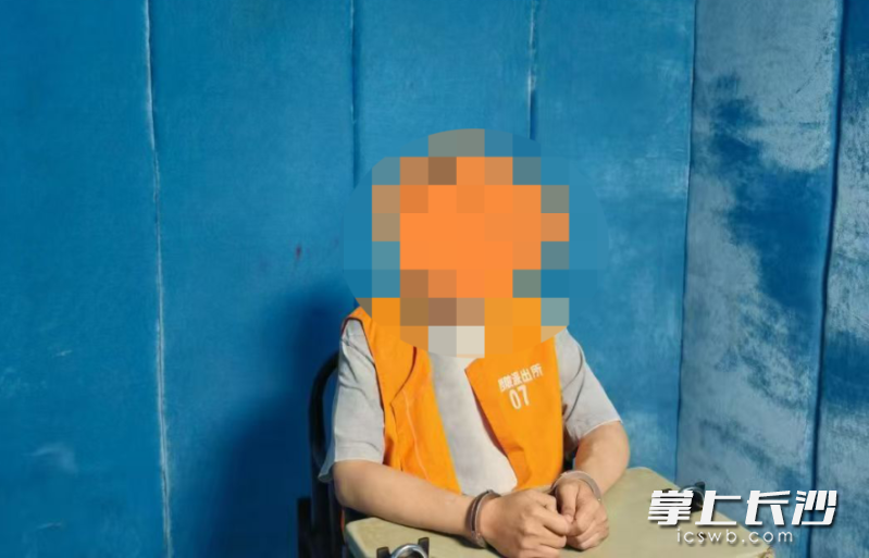 目前，公安机关已依法对苏某予以处罚，涉案资金已全部被冻结。 通讯员供图