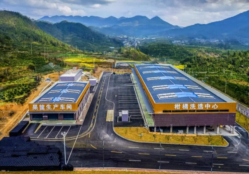 图为柑橘洗选中心。 均为长沙晚报通讯员 供图