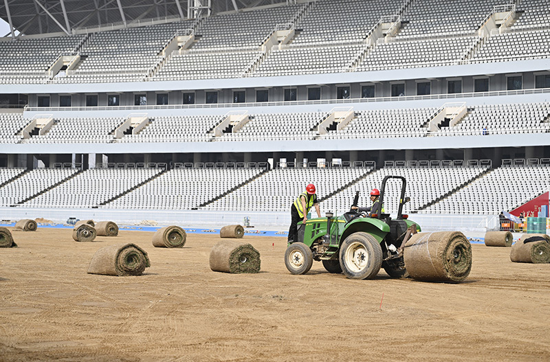 体育场正在进行草坪铺设