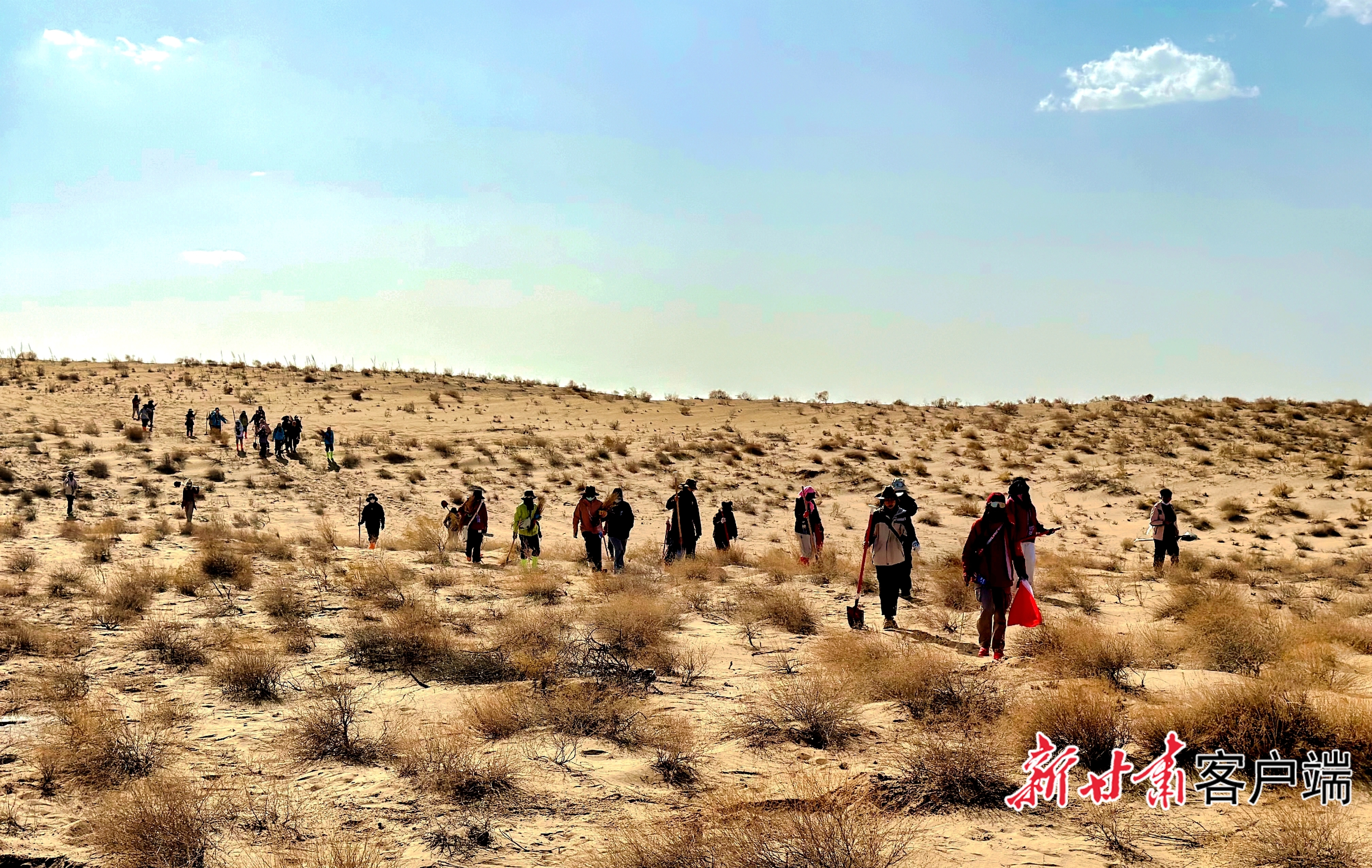 志愿者走进沙漠去栽树