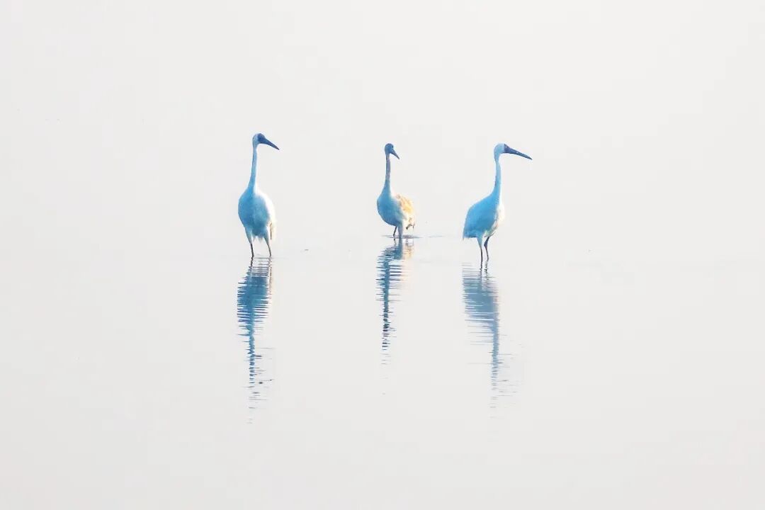 视觉江西 张龙 摄