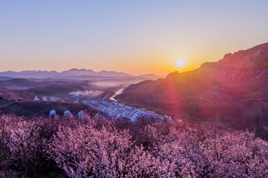 日出之下的五莲黄崖川如花似玉开云(中国)Kaiyun·官方网站。袁召勇 摄