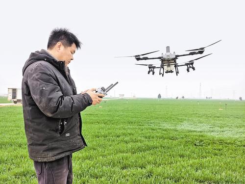 3月17日,邯郸市永年区曹八汪村的麦田里,无人机手正在操作植保无人机进行病虫害防治作业。本报记者 郝东伟摄