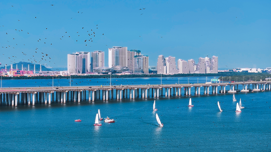 “十五五”开局,宝安闯、创、干