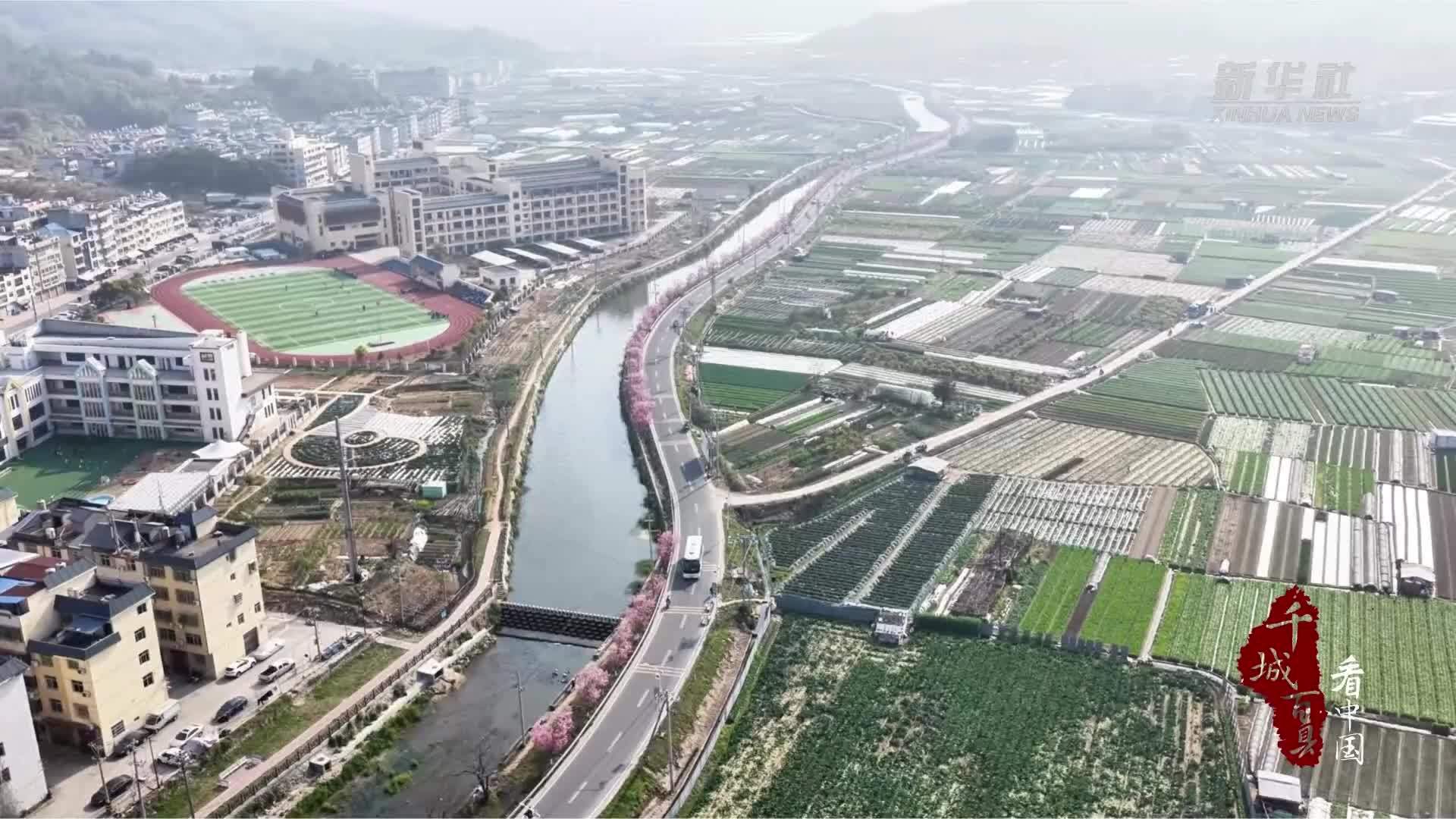 千城百县看中国·赏花季丨福建霞浦：不期而遇的春天