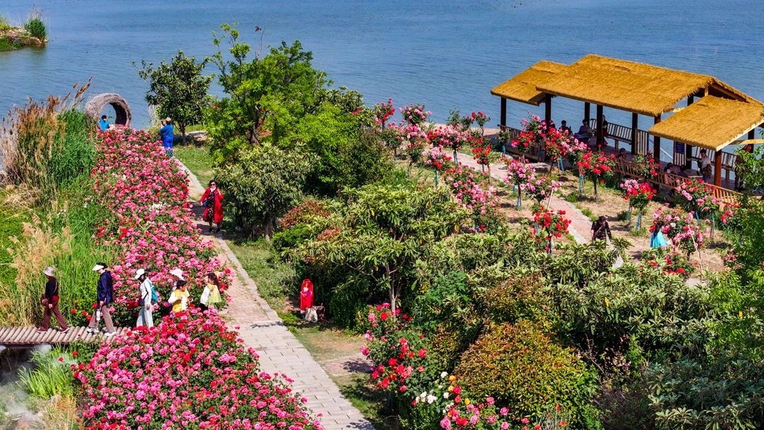 春光为引，徐州“春日经济”的破局与深耕