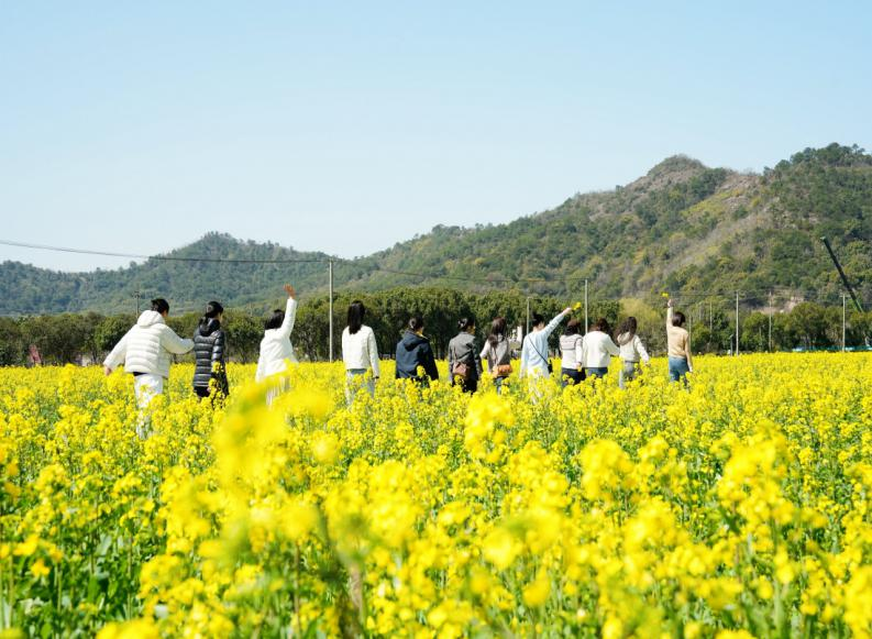 清明赴北仑｜花满山海茶煮春风，解锁春日限定浪漫