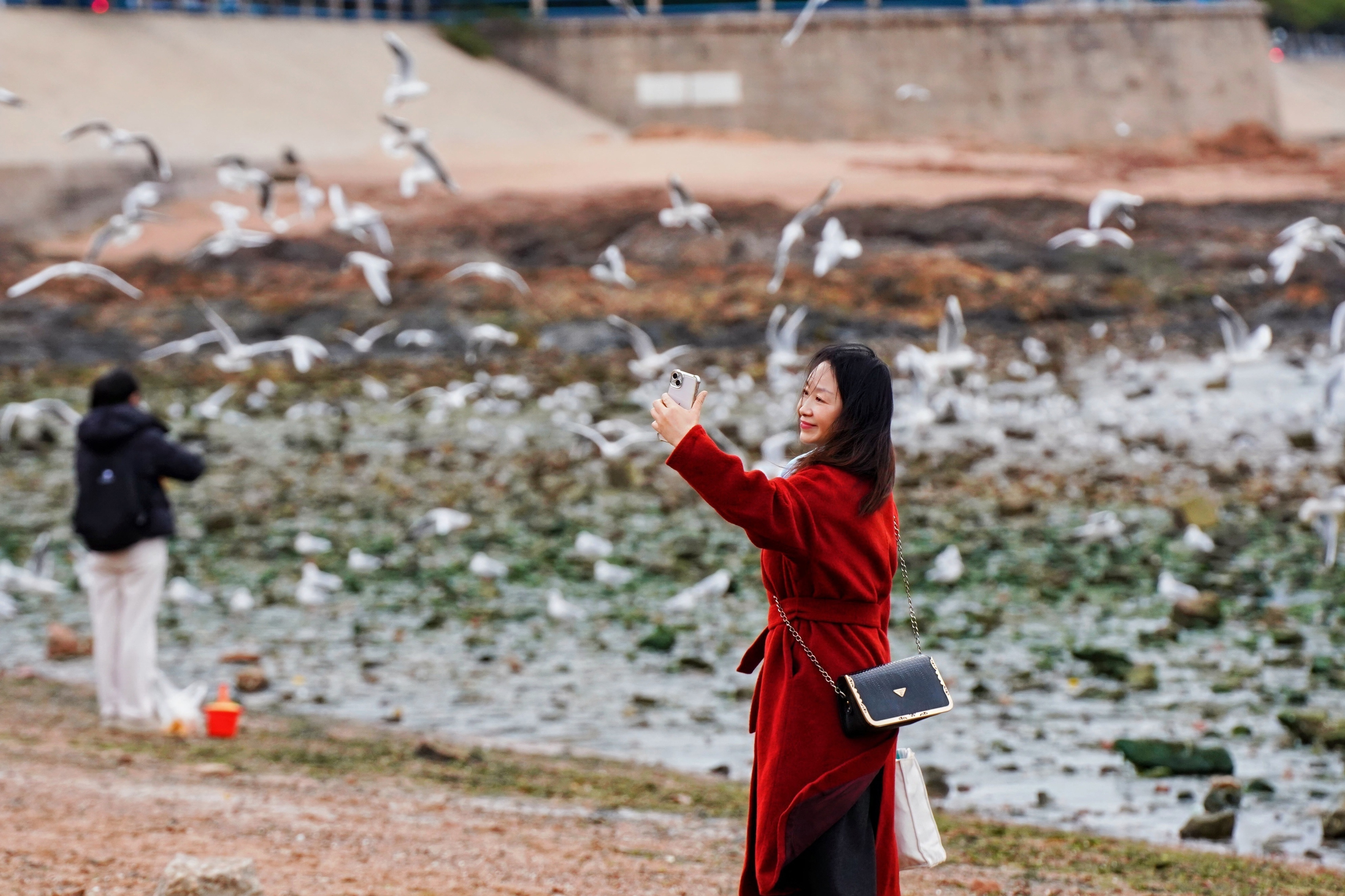 ���ӹ�ע����һ����Ÿ�Ĵ�Ǩ�ֶ���3��28��ջ�ż���