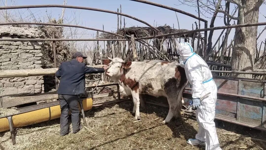 下河清镇