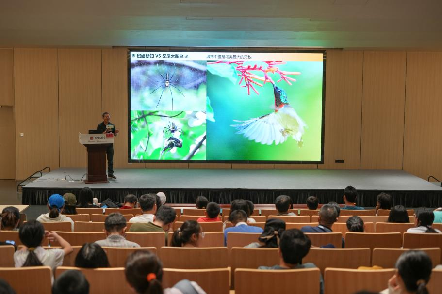 鸟类世界趣味多！观鸟专家张高峰做客光明大讲堂，揭秘身边的飞羽精灵
