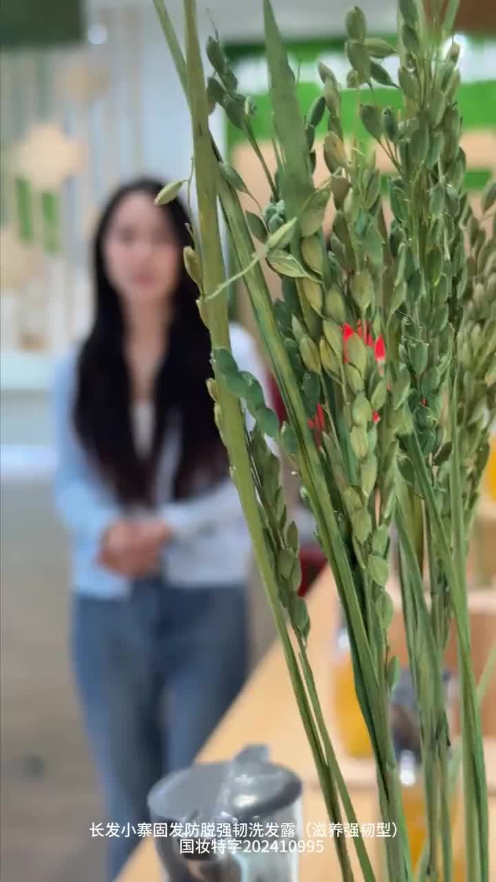 走进广西长发村，探索淘米水洗头的护发智慧，助力非遗国货出圈！#国货 #非遗养发 #长发小寨淘米水