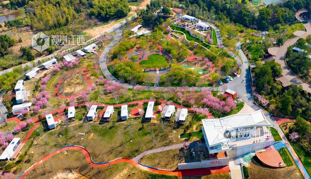 江西金溪：城乡处处花开春意浓（图）