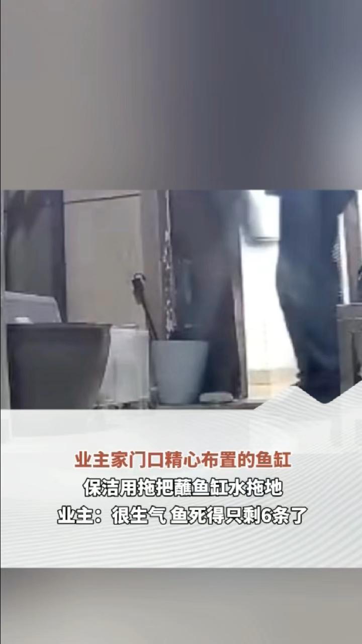 业主家门口精心布置的鱼缸 保洁用拖把蘸鱼缸水拖地 业主：很生气 鱼死得只剩6条了