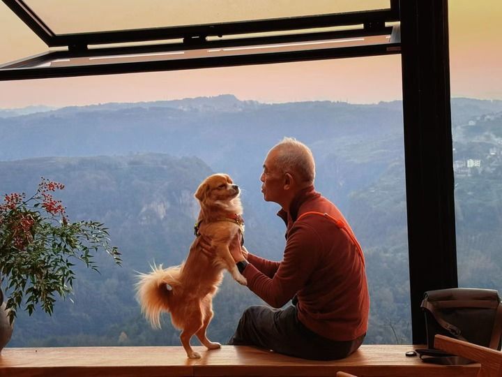 春节假期，游客带着宠物在下岩贝村的民宿里度假。（受访者供图）