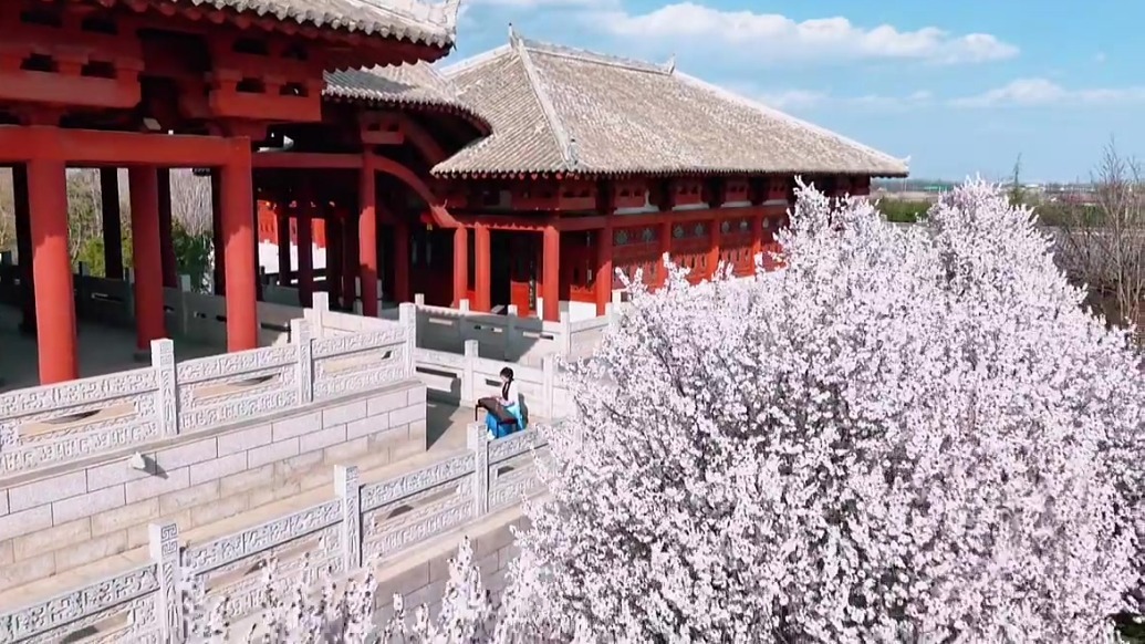 甘肃灵台春色入弦BGM超对味　不负人间好时节