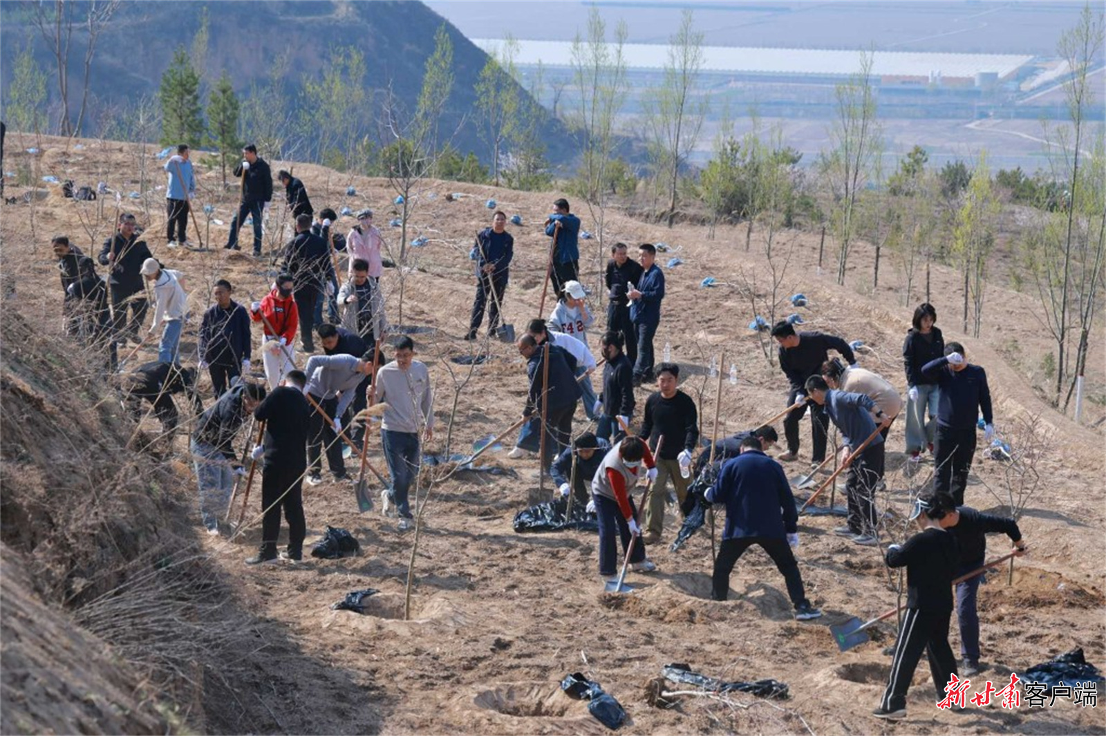 市区两级干部职工携手植新绿　新甘肃&middot;甘肃日报通讯员　牛栋　摄