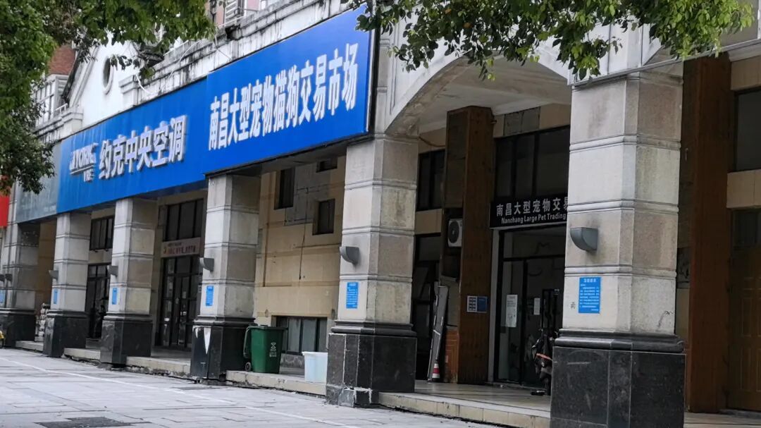 南昌大型宠物猫狗交易市场