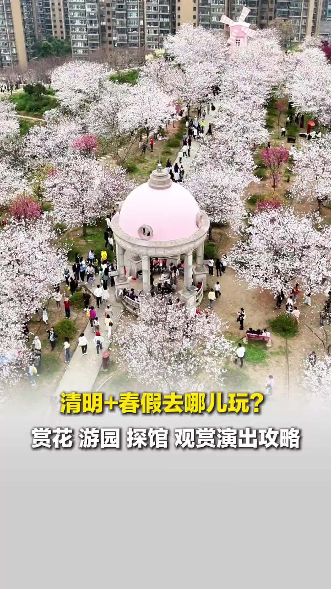 春假+清明去哪儿玩？收好这份赏花、游园、探馆、观演攻略