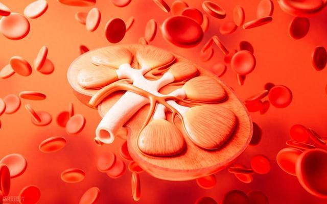 医生:肾病患者这4项指标都正常,未来10年基本不担心肾衰竭
