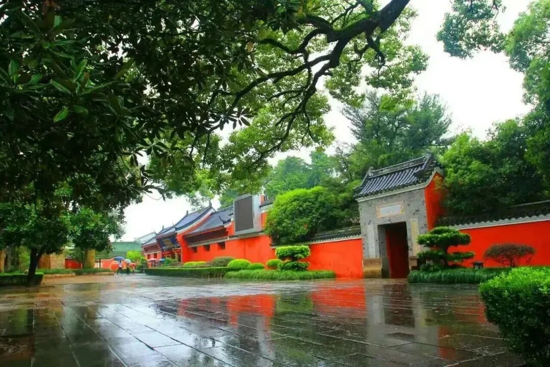 （虎山景区 供图）