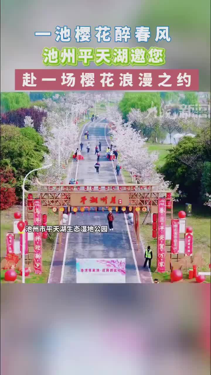 池州平天湖邀您共赴一场樱花之约 春满平天湖 花开共此时！池州平天湖邀您共赴一场樱花之约       樱花漫平天，春色醉人间。池州平天湖生态湿地公园迎来最美春日盛景。4月1日，以“春满平天湖·花开共此时