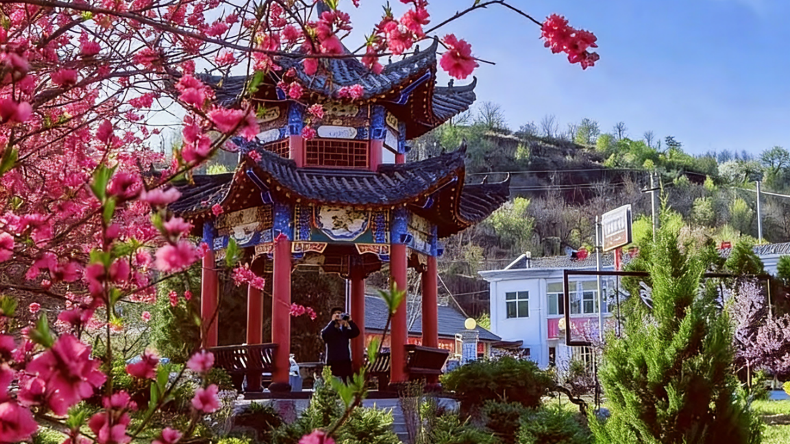 中台镇康家沟村桃花缀满枝头