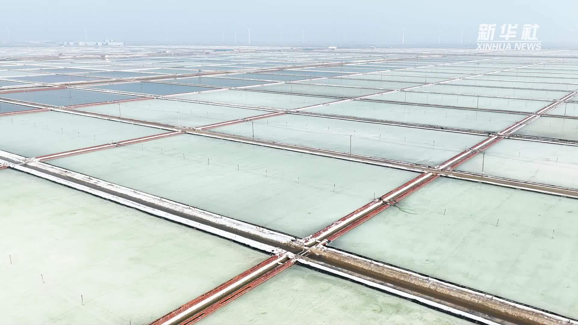 灌西盐场春季扒盐忙 万亩盐田迎丰收