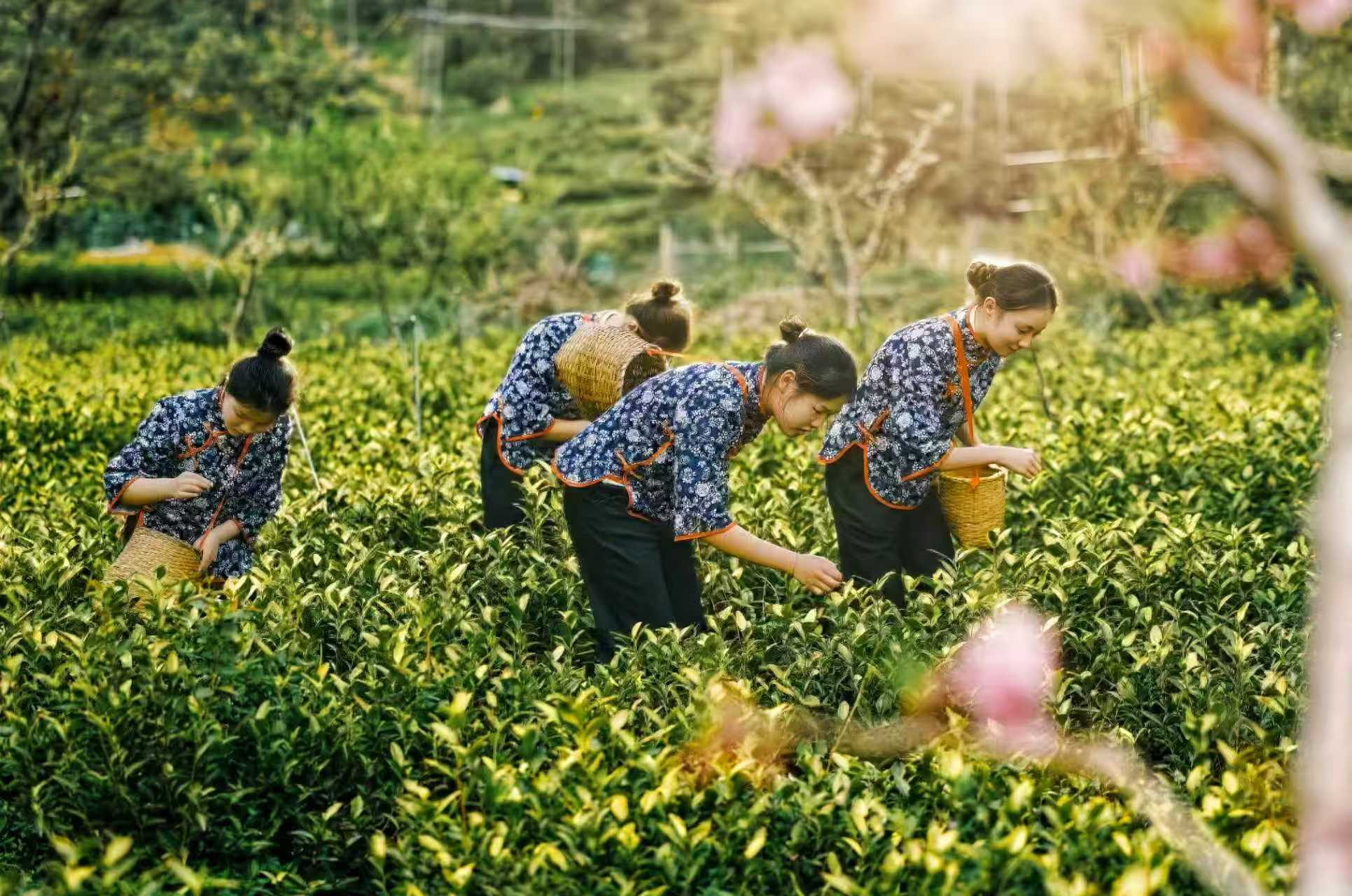 图片来源：魅力马山