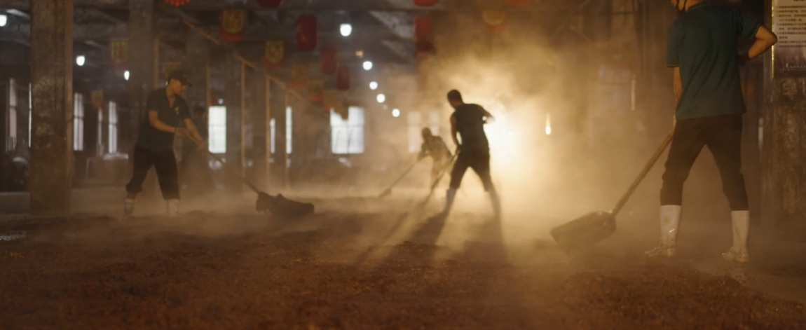 武陵酒黄金轮次开酿 匠心酿造赋能湘酒振兴