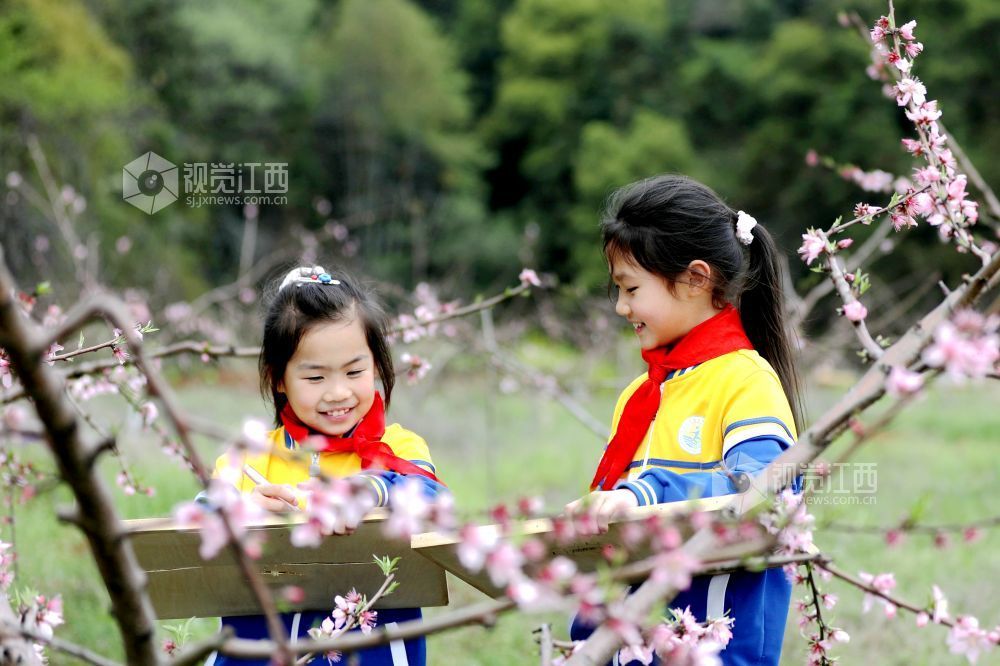 江西宜春：桃花园里绘春天（图）
