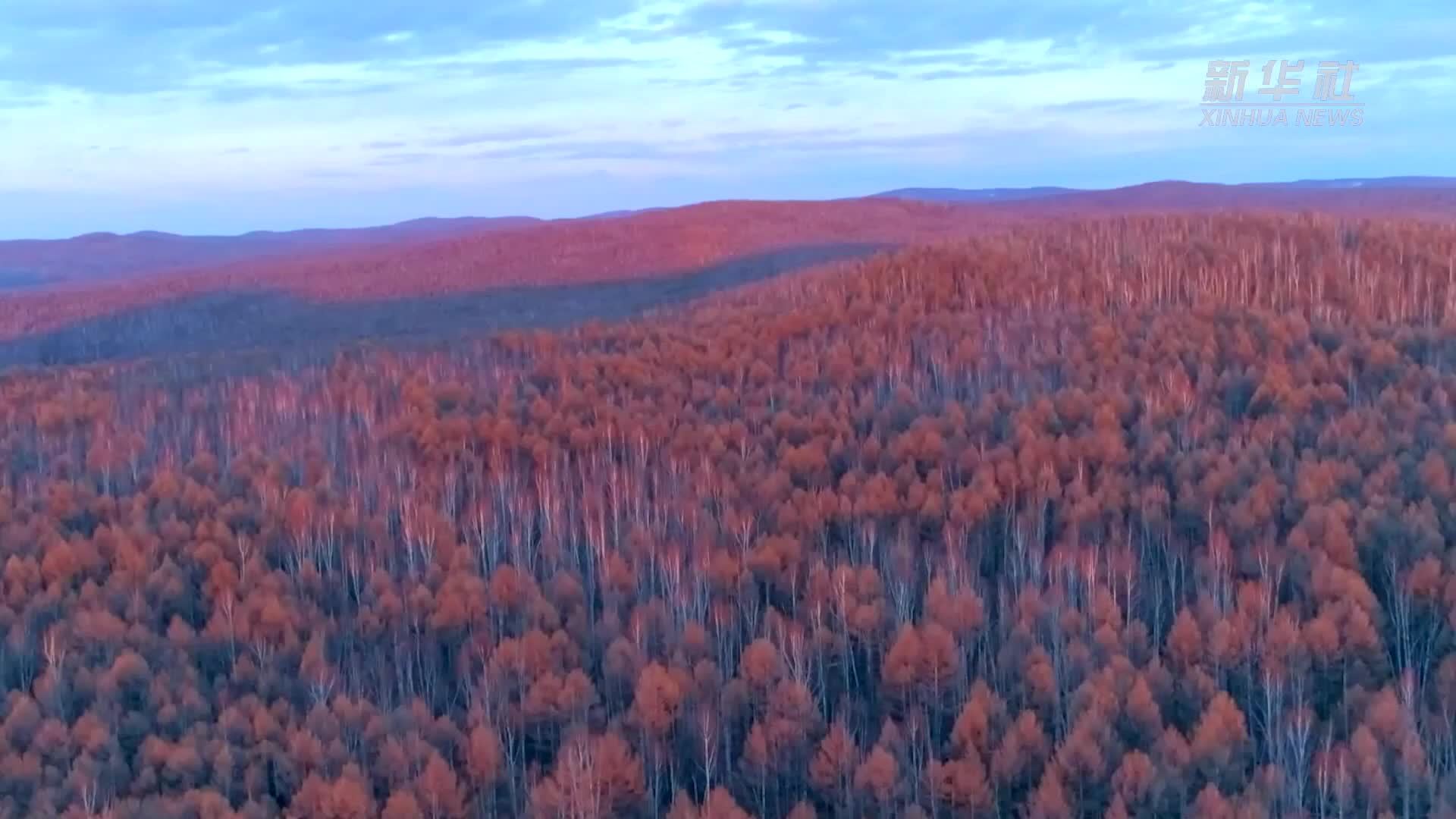 内蒙古大兴安岭林区进入森林防火期