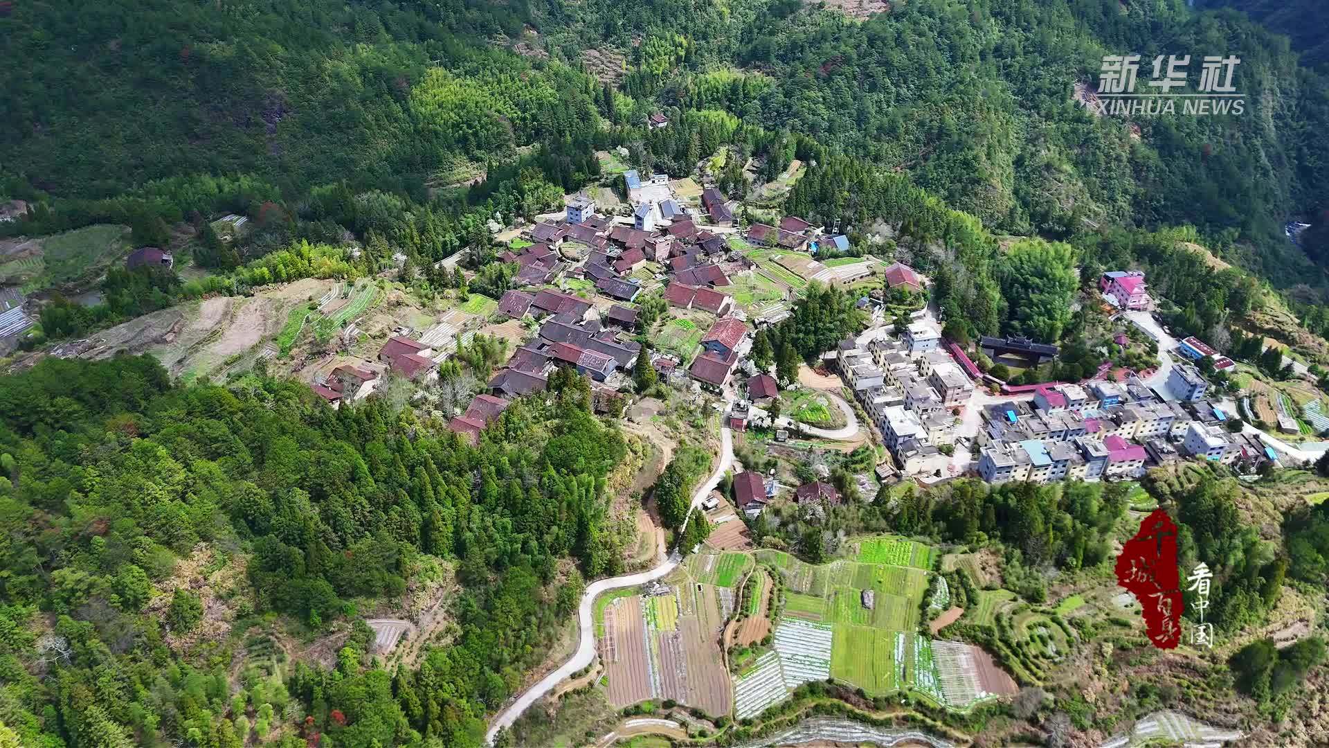 千城百县看中国|福建寿宁：吹开梨花一树雪