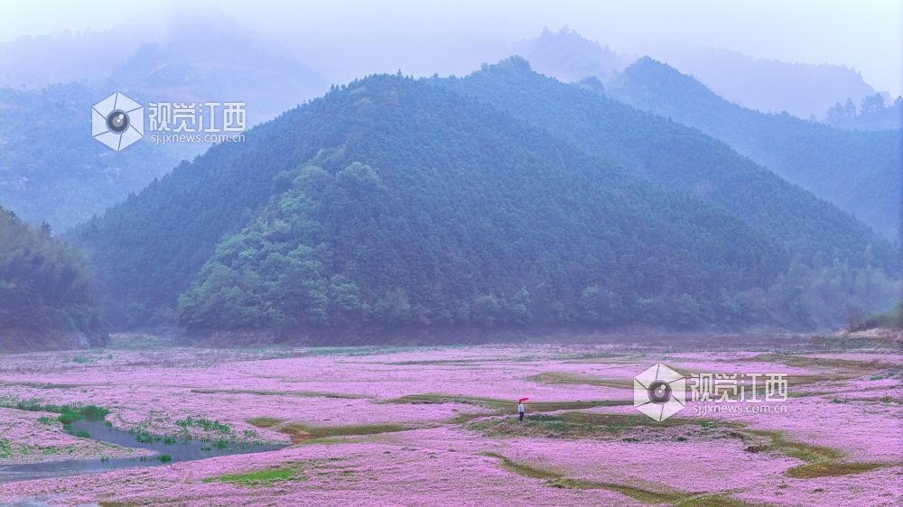 2026年3月28日在江西省吉安市新干县溧江镇培山水库拍摄的画面。