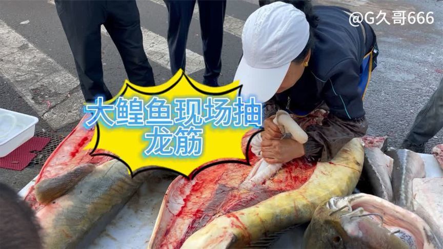 二百多斤的达氏鳇鱼现场抽筋拔骨，老板直接生吃一大片新鲜鳇鱼肉