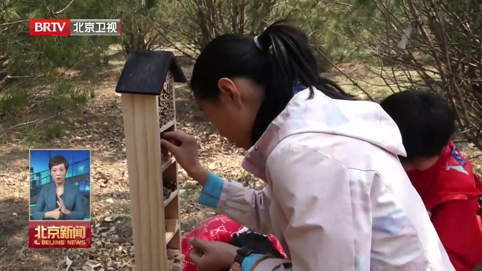 第42个首都全民义务植树日：首都各界植绿护绿 建设花园城市