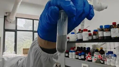 碳掺杂镍/氧化锌催化剂。全媒体记者沈冠楠摄