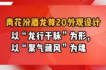 青花汾酒龙尊20外观设计：以“龙行于脉”为形，以“聚气藏风”为魂