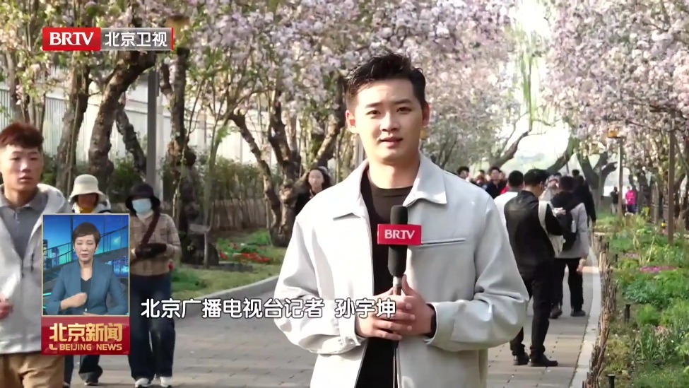 不负京华好春光｜春花缤纷 享受假日惬意